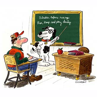 éducateur canin bourg en bresse